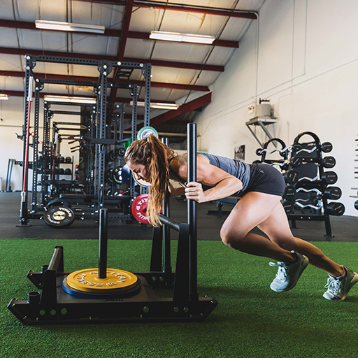 person using a pro sled in the gym